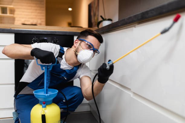 Best Rat Extermination Near Me  in Randleman, NC