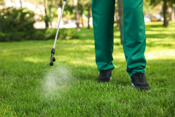 Best Affordable Pest Control Services  in Randleman, NC
