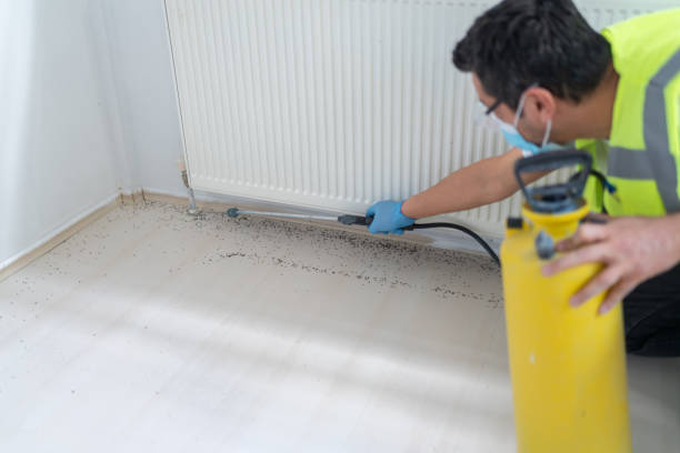 Pest Control Cost in Randleman, NC