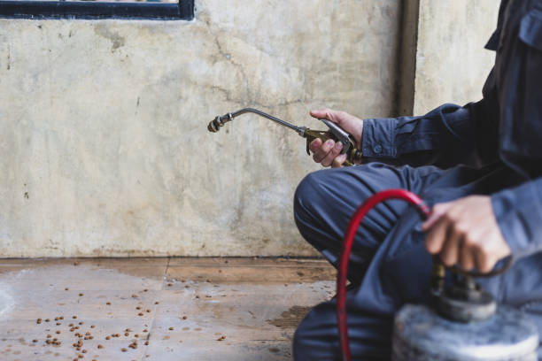 Best Residential Pest Control  in Randleman, NC